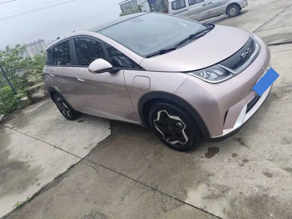 BYD Dolphin 2022