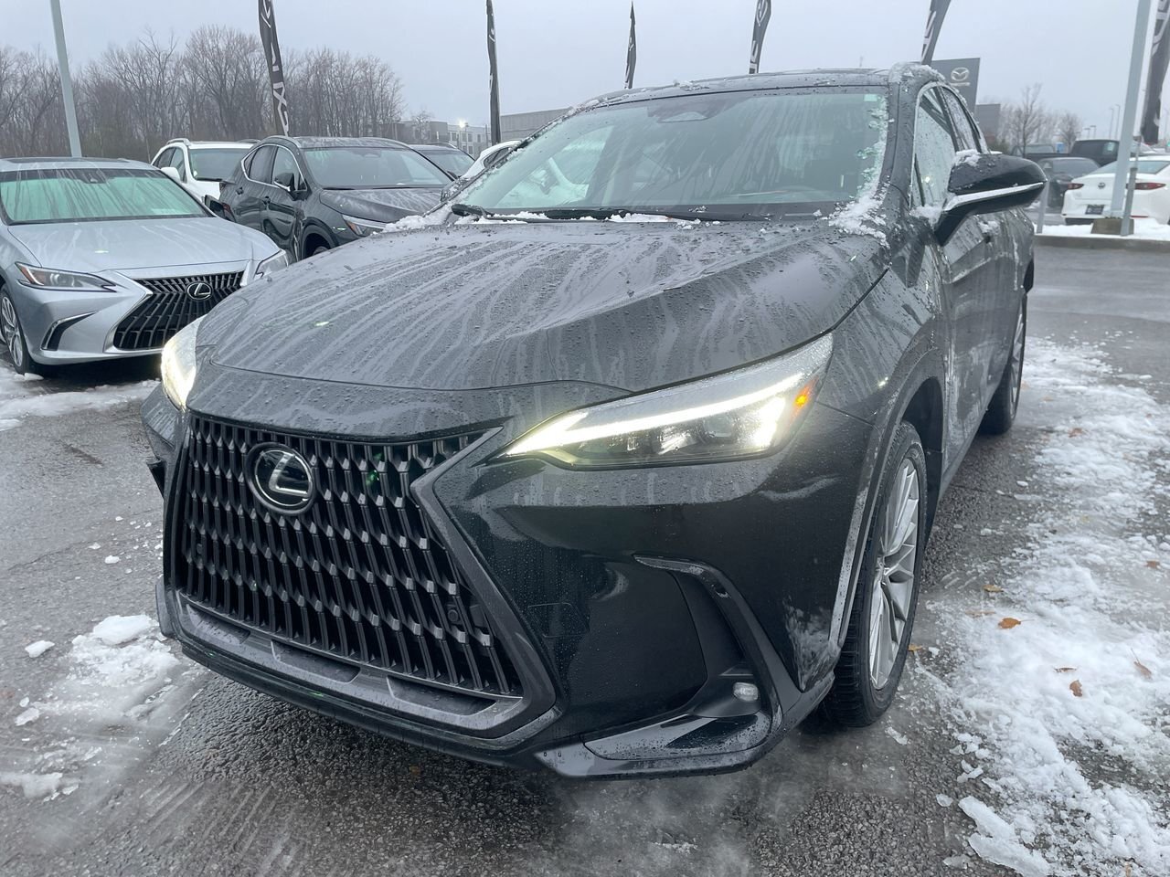 Lexus NX 2022