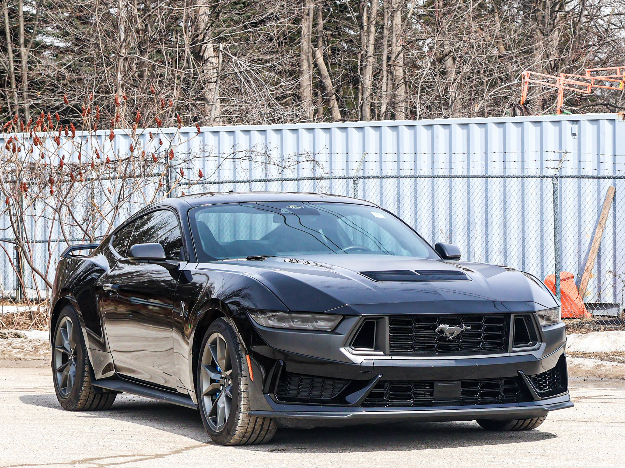 Ford Mustang 2024