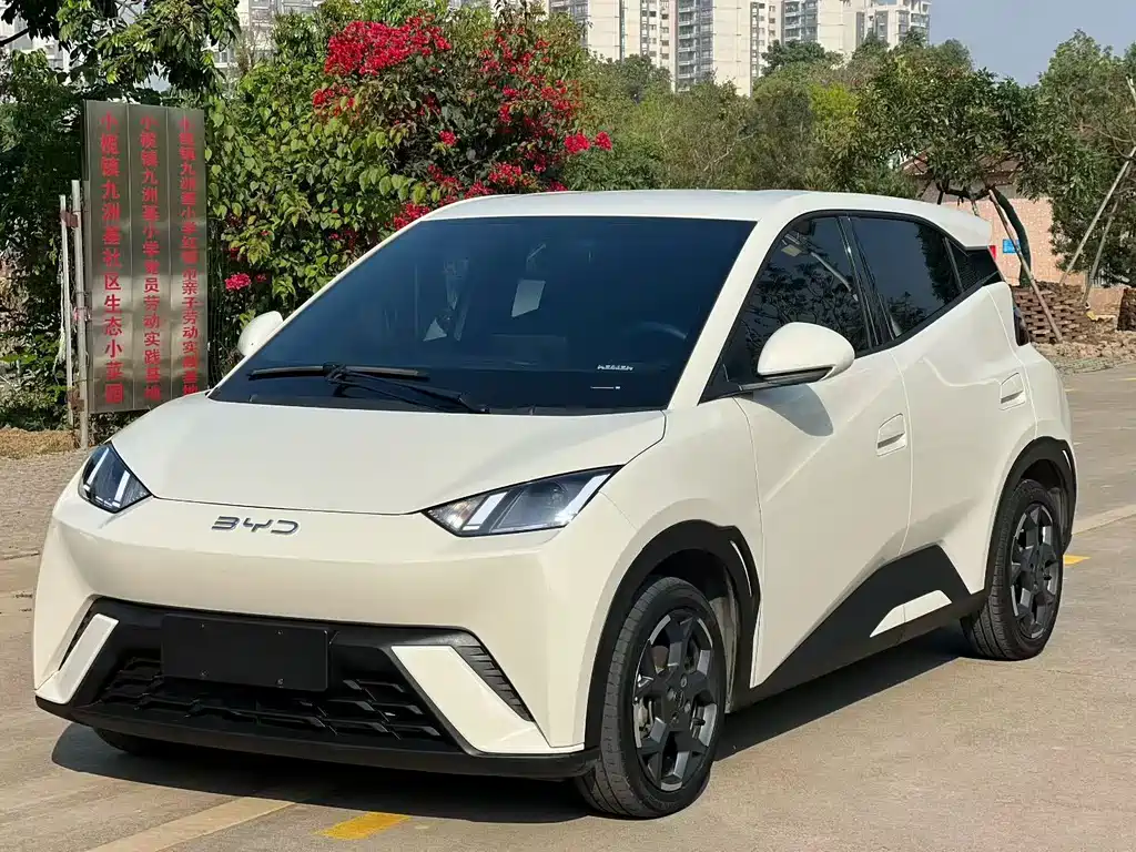 BYD Seagull 2024