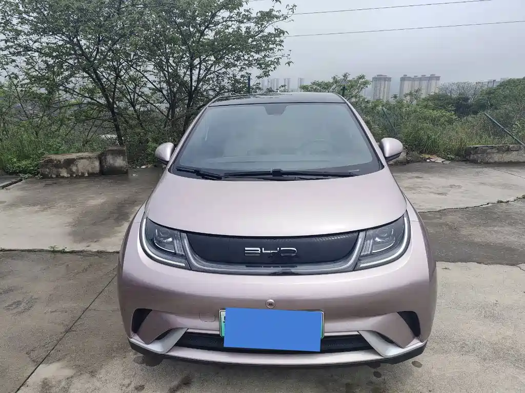 BYD Dolphin 2022