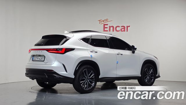 Lexus NX 2025
