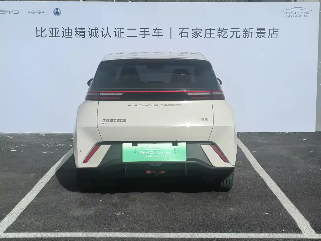 BYD Seagull 2024