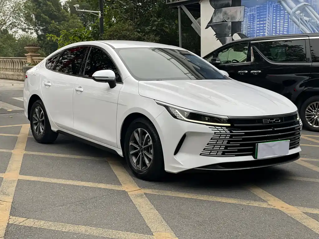 BYD Destroyer 05 2024