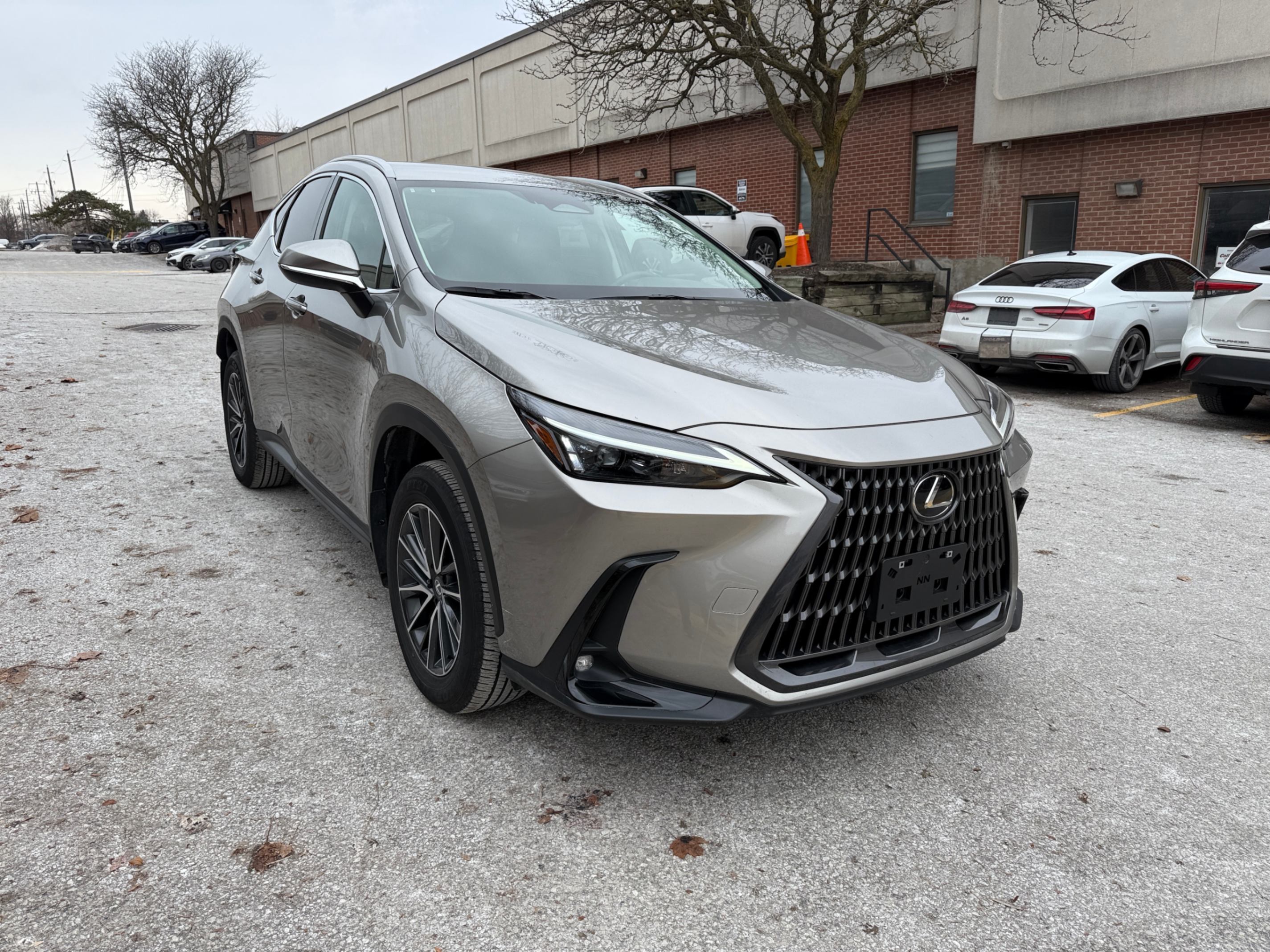 Lexus NX 2025
