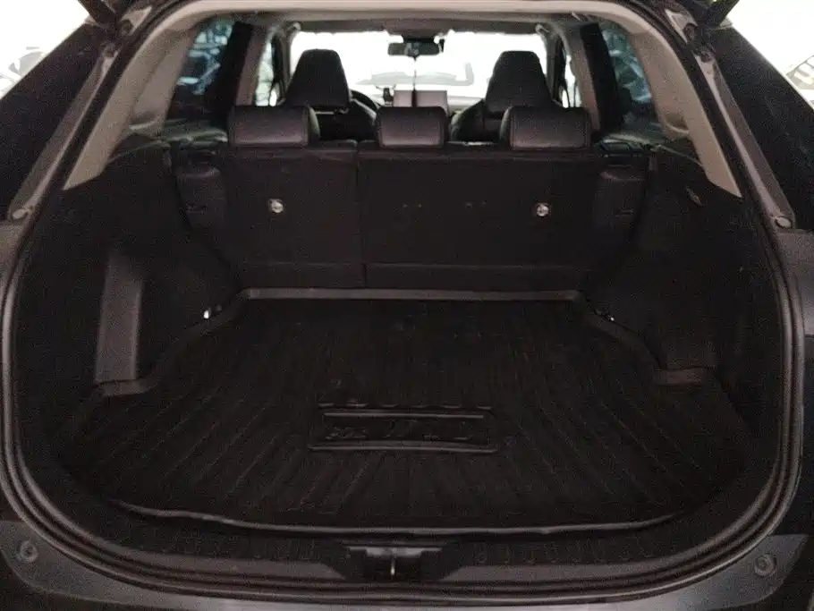 Toyota Wildlander 2021