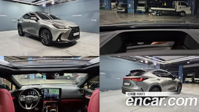 Lexus NX 2024