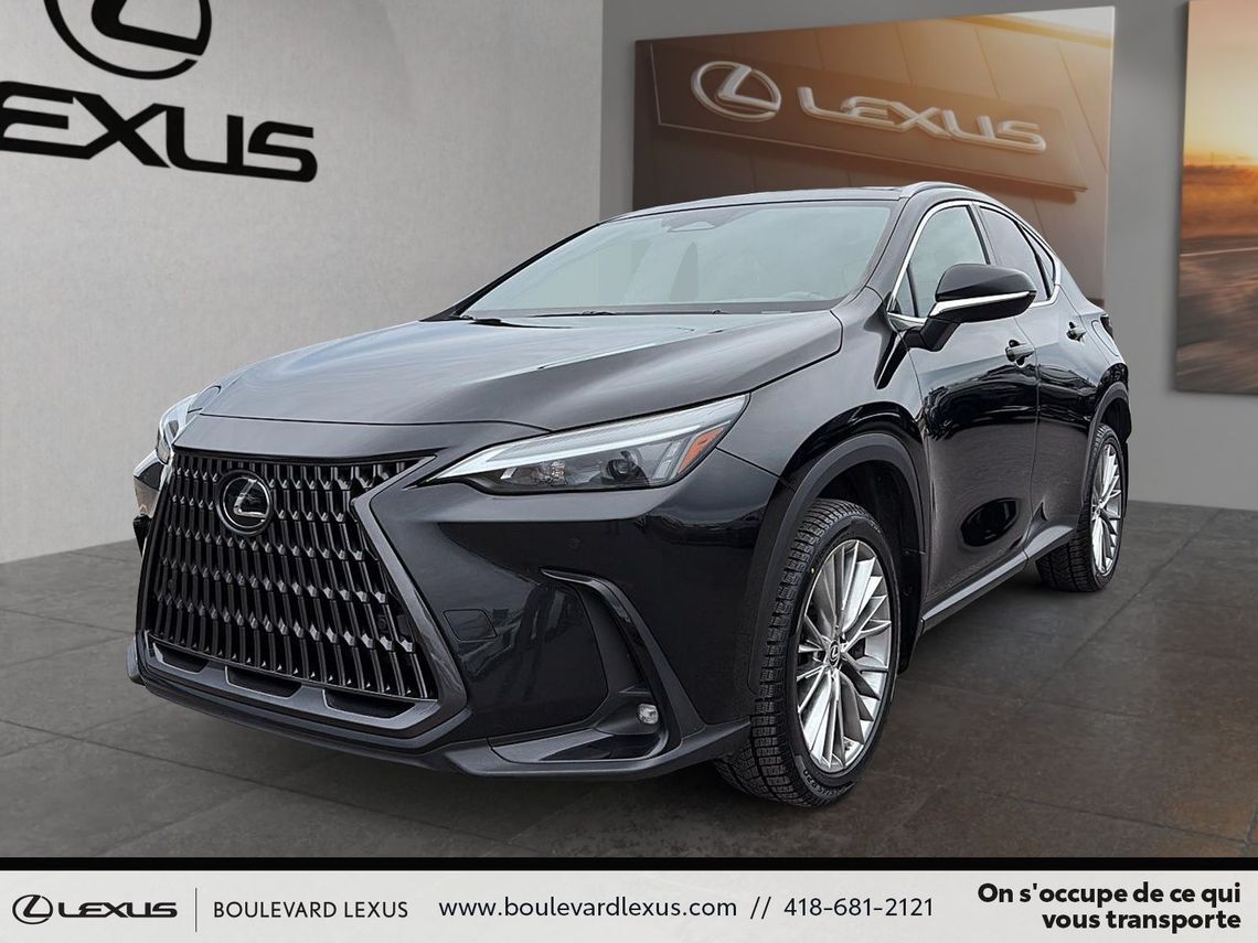 Lexus NX 2022