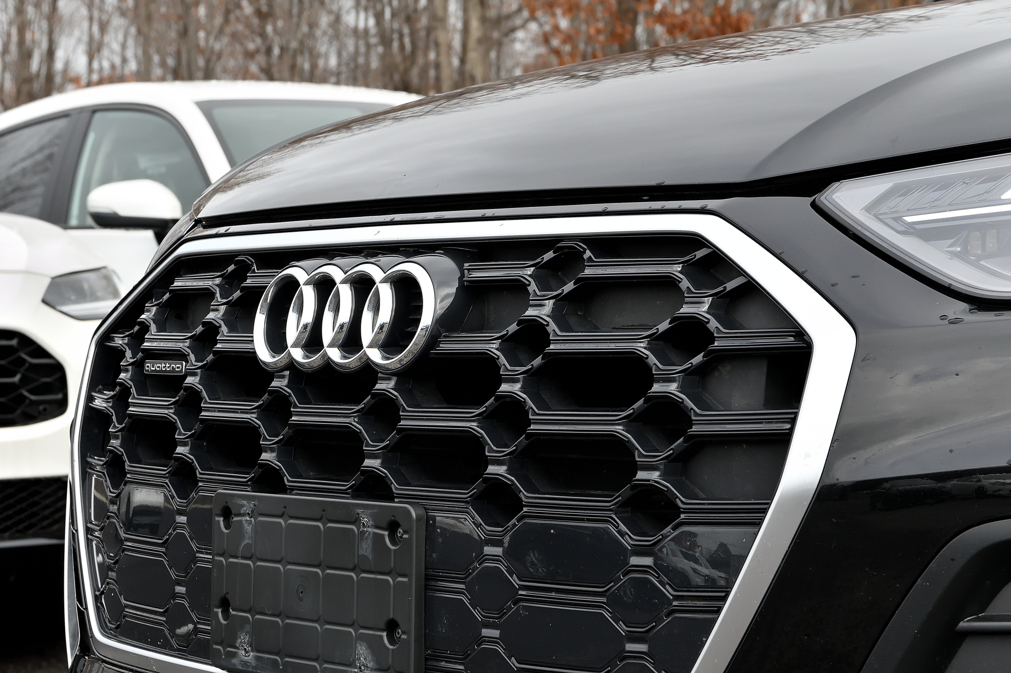 Audi Q5 2024