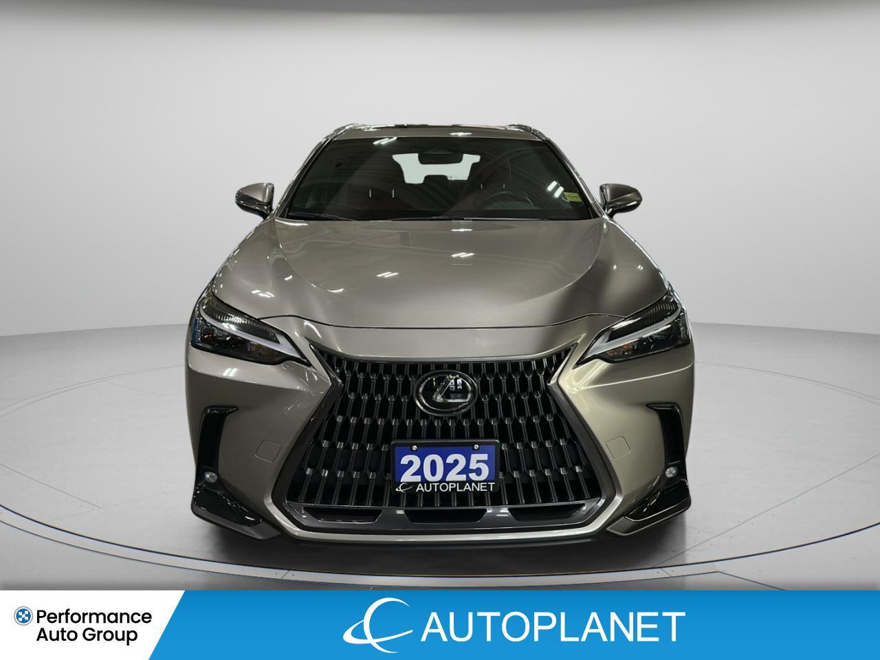 Lexus NX 350 2025