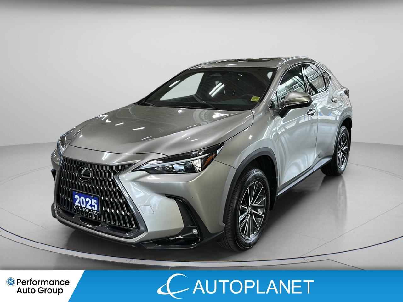 Lexus NX 350 2025