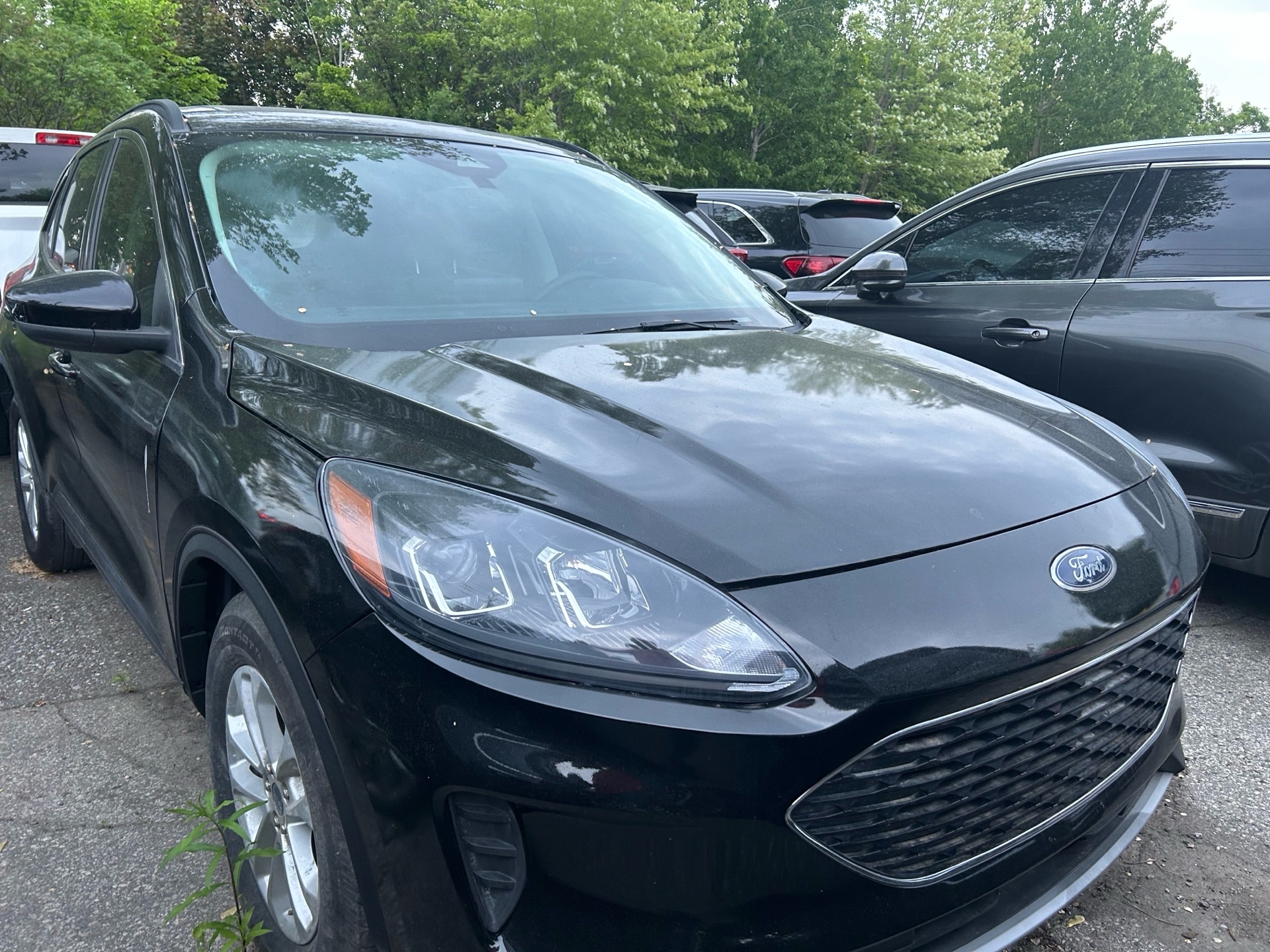 Ford Escape 2021