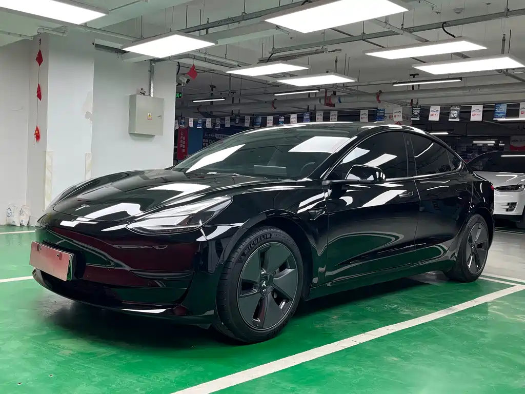 Tesla Model 3 2021