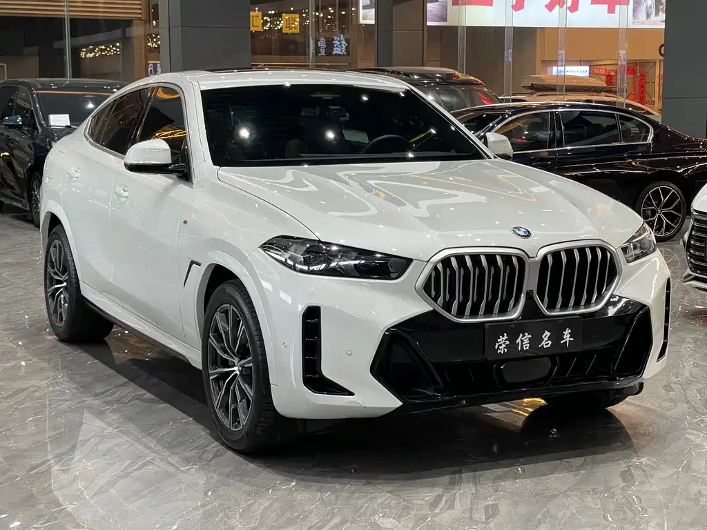 BMW X6 2024