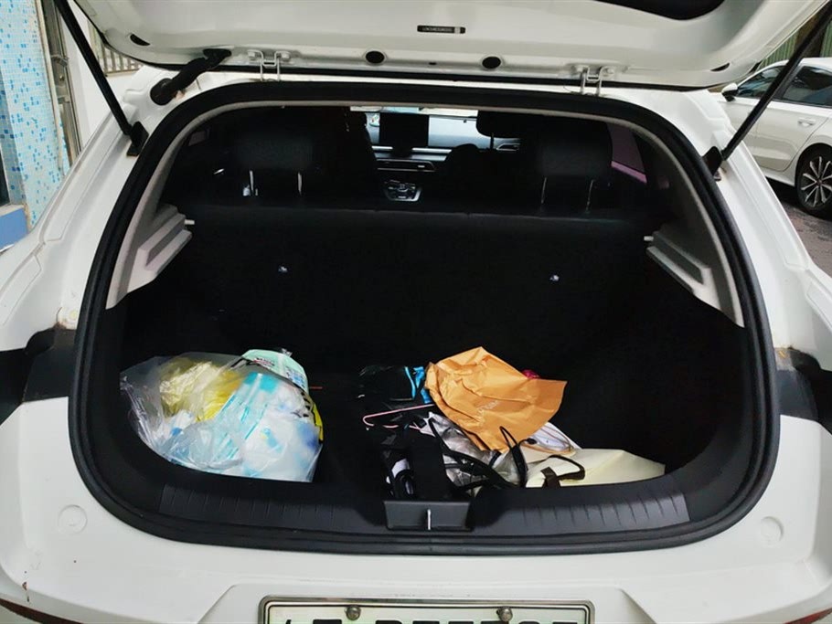 BYD E2 2020
