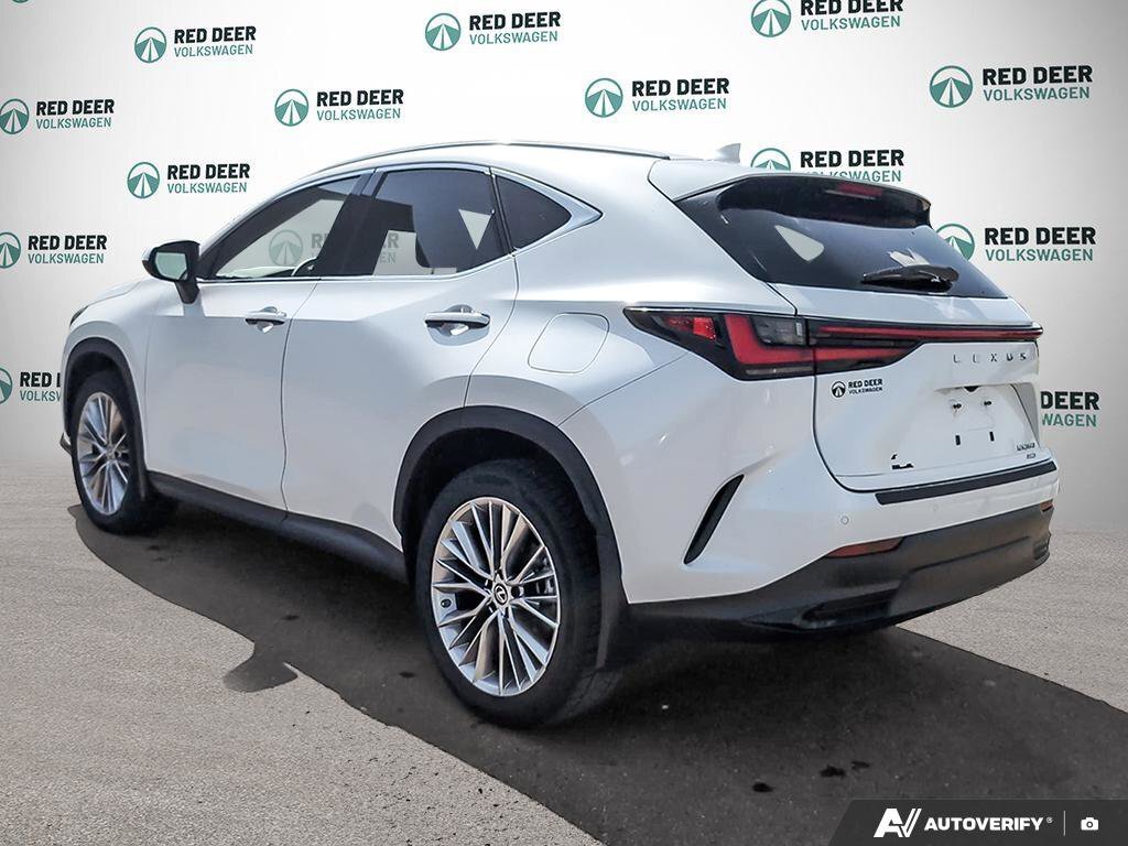 Lexus NX 2022