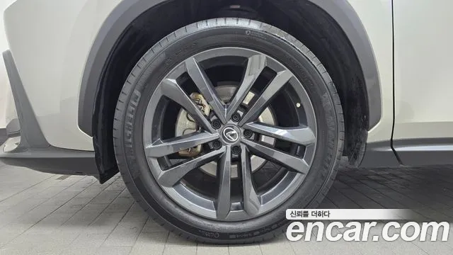 Lexus NX 2023