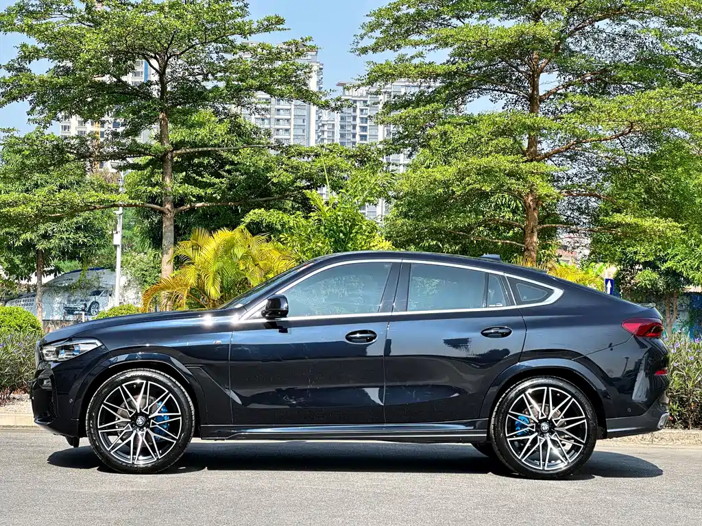 BMW X6 2020