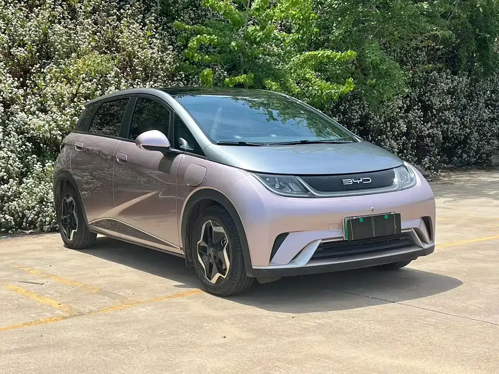 BYD Dolphin 2022