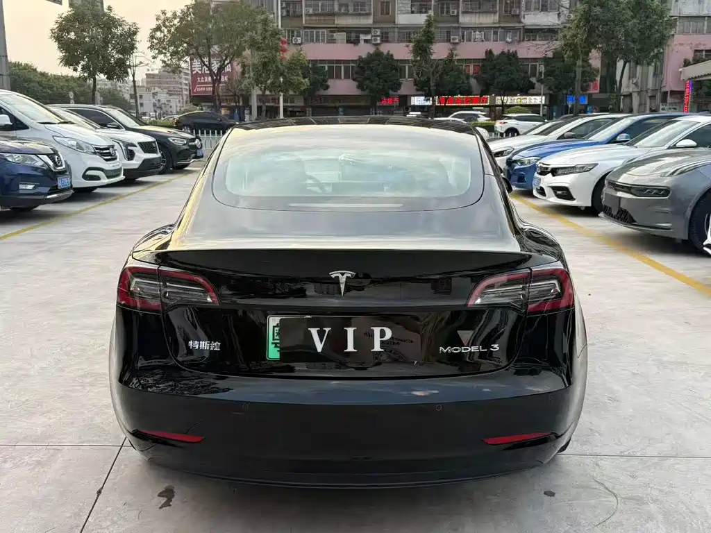 Tesla Model 3 2021
