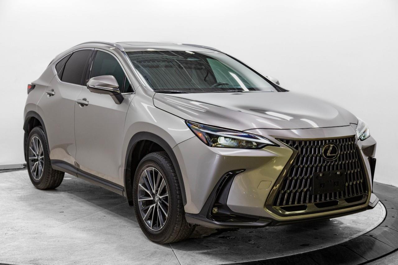 Lexus NX 350 2024