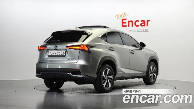 Lexus NX 2020
