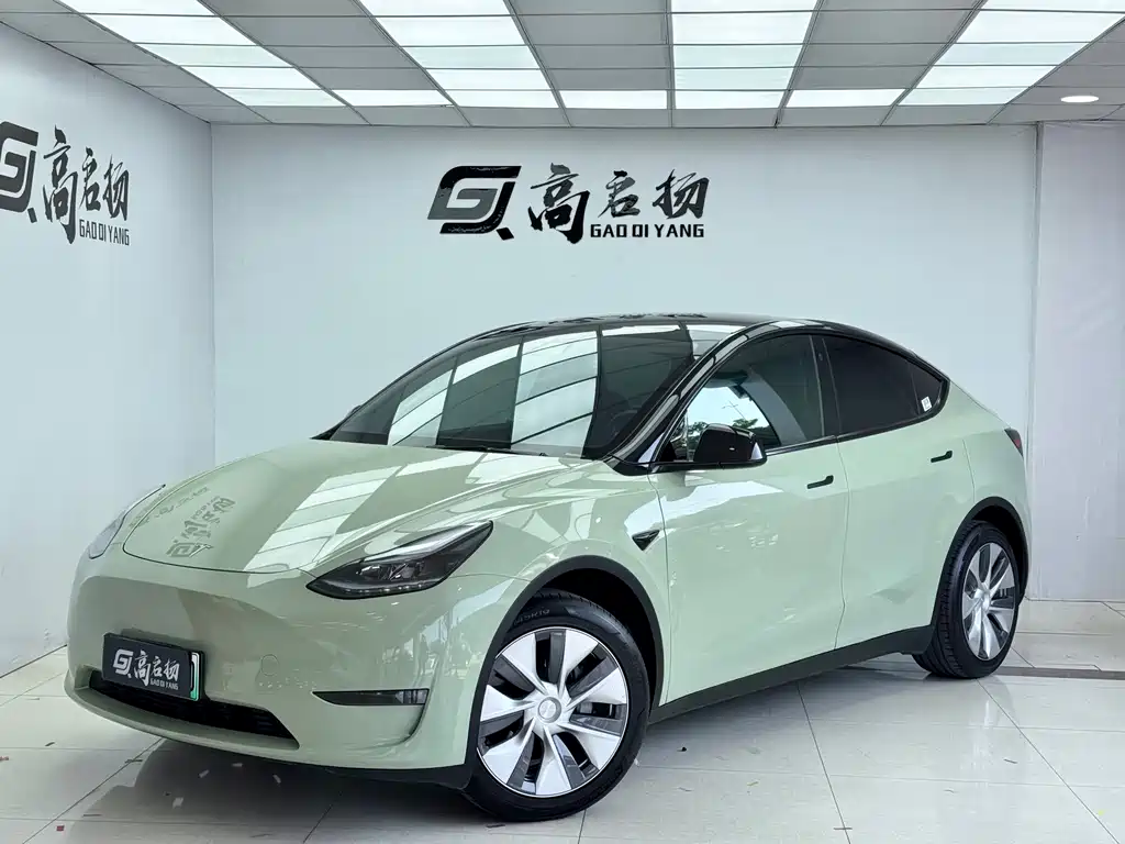 Tesla Model Y 2021