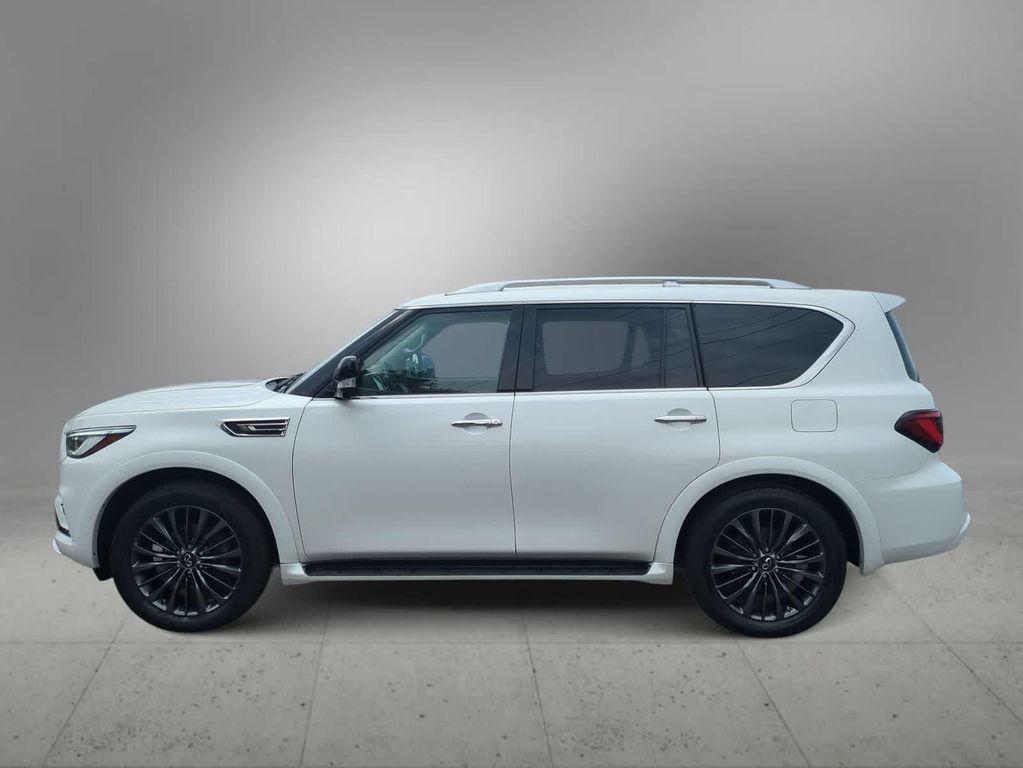 Infiniti QX80 2021