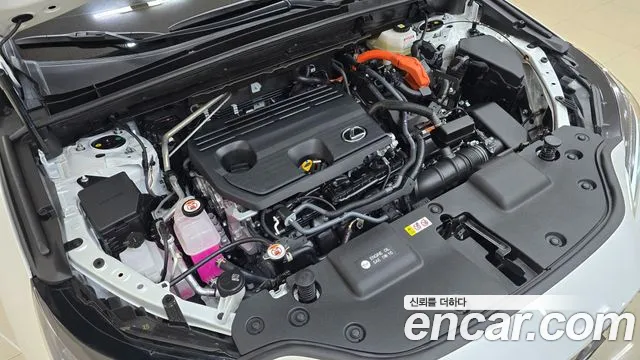 Lexus NX 2024