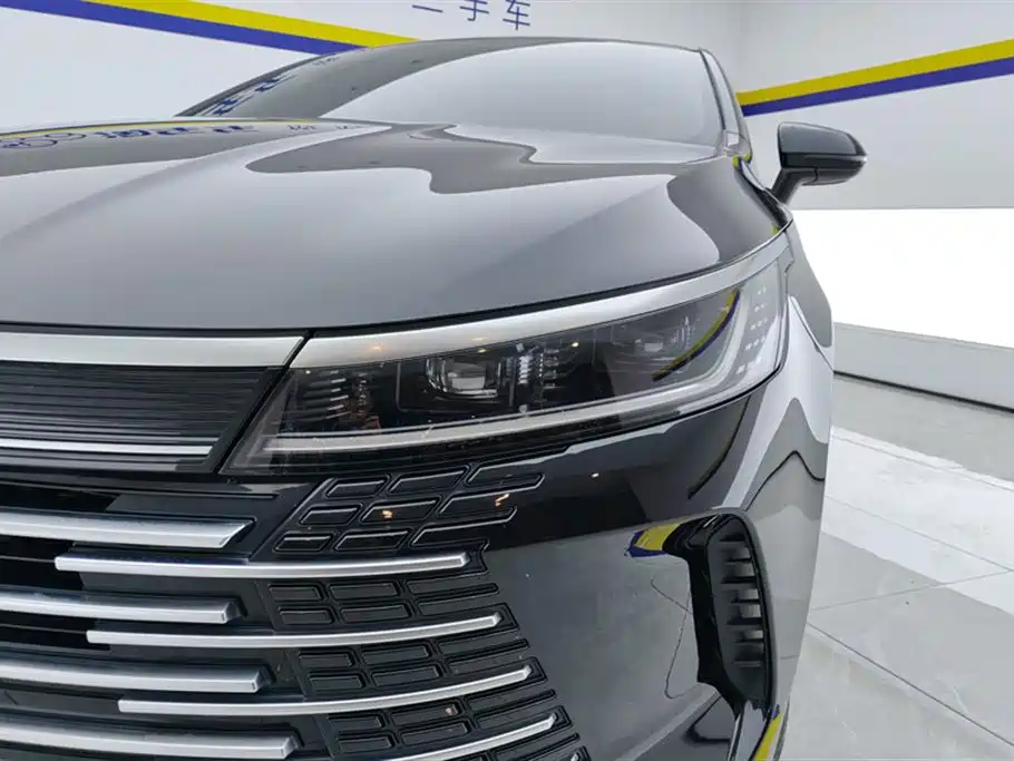 BYD Destroyer 05 2024