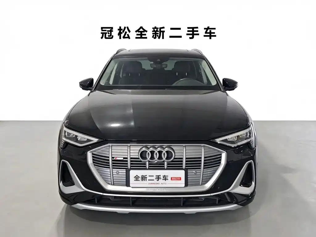 Audi e-tron 2021