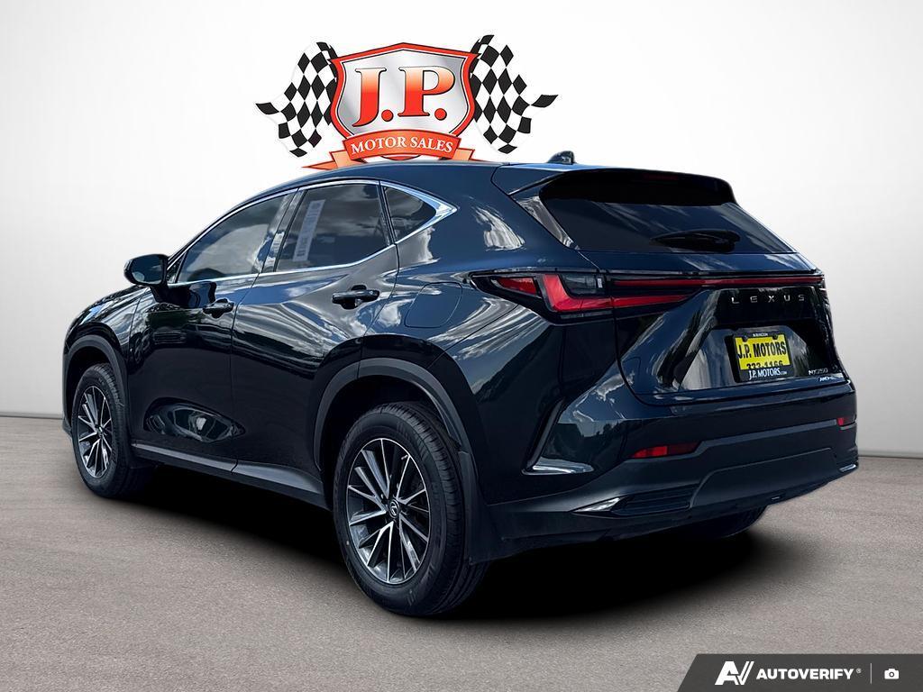 Lexus NX 2023