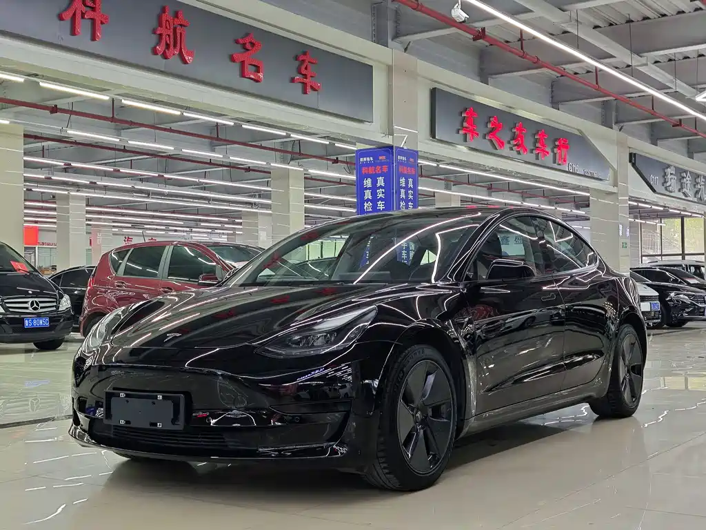 Tesla Model 3 2021