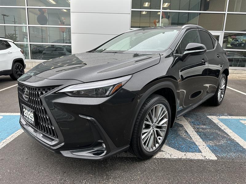 Lexus NX 2025