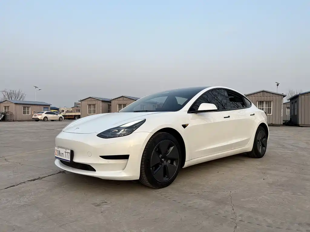Tesla Model 3 2021