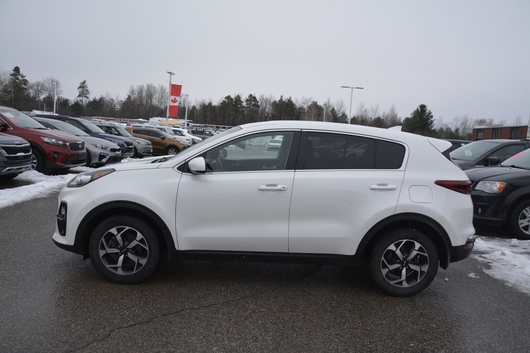 Kia Sportage 2021