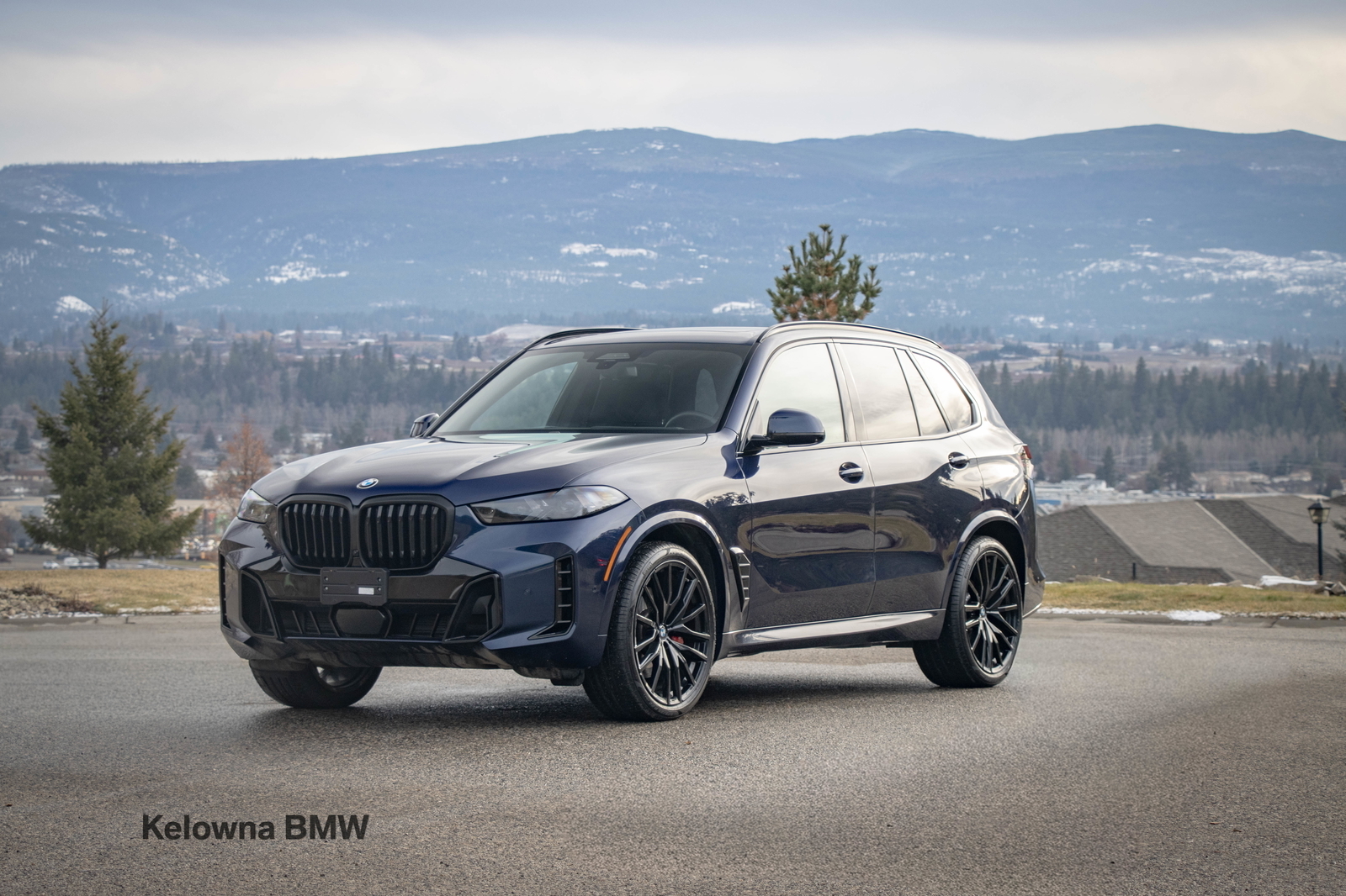 BMW X5 2025