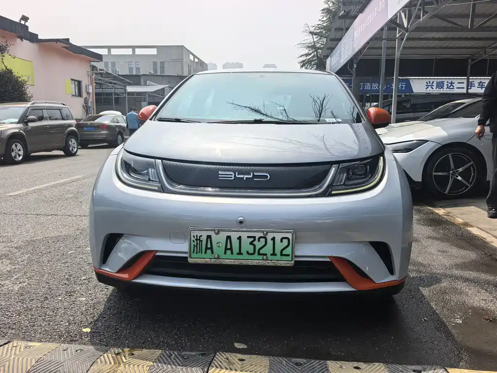BYD Dolphin 2021