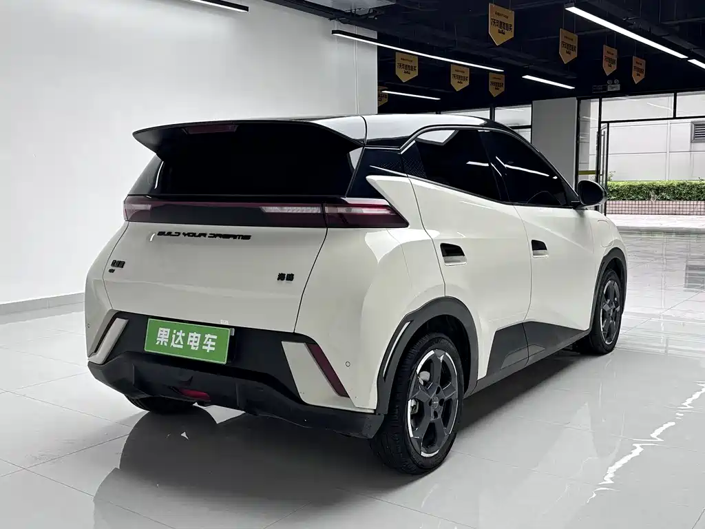 BYD Seagull 2024