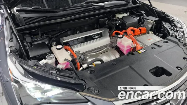 Lexus NX 2020