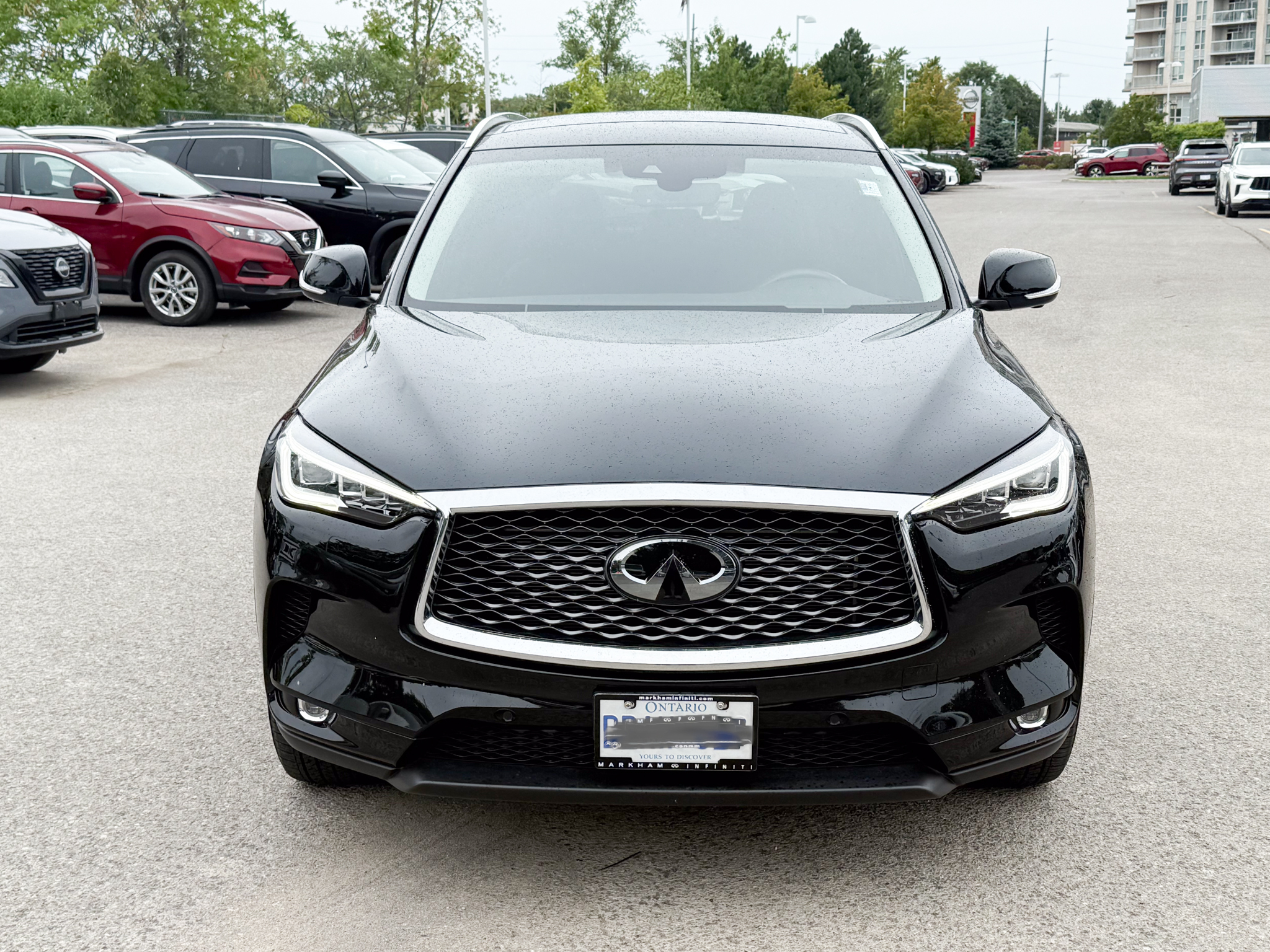 Infiniti QX50 2023