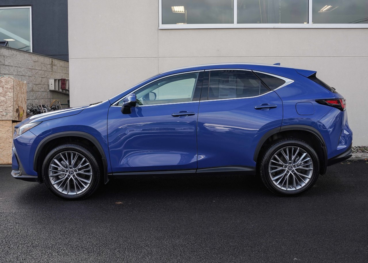 Lexus NX 350 2024
