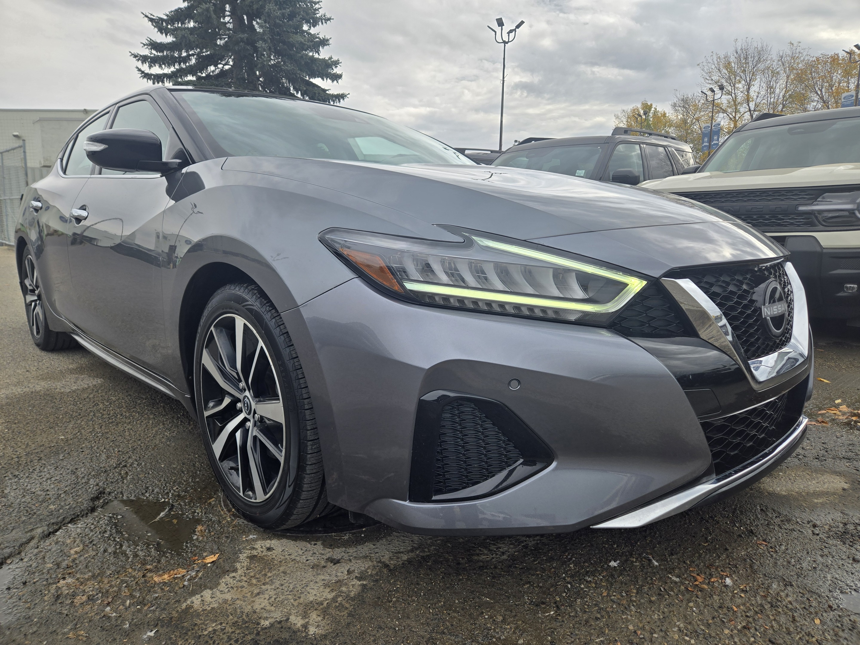 Nissan Maxima 2023