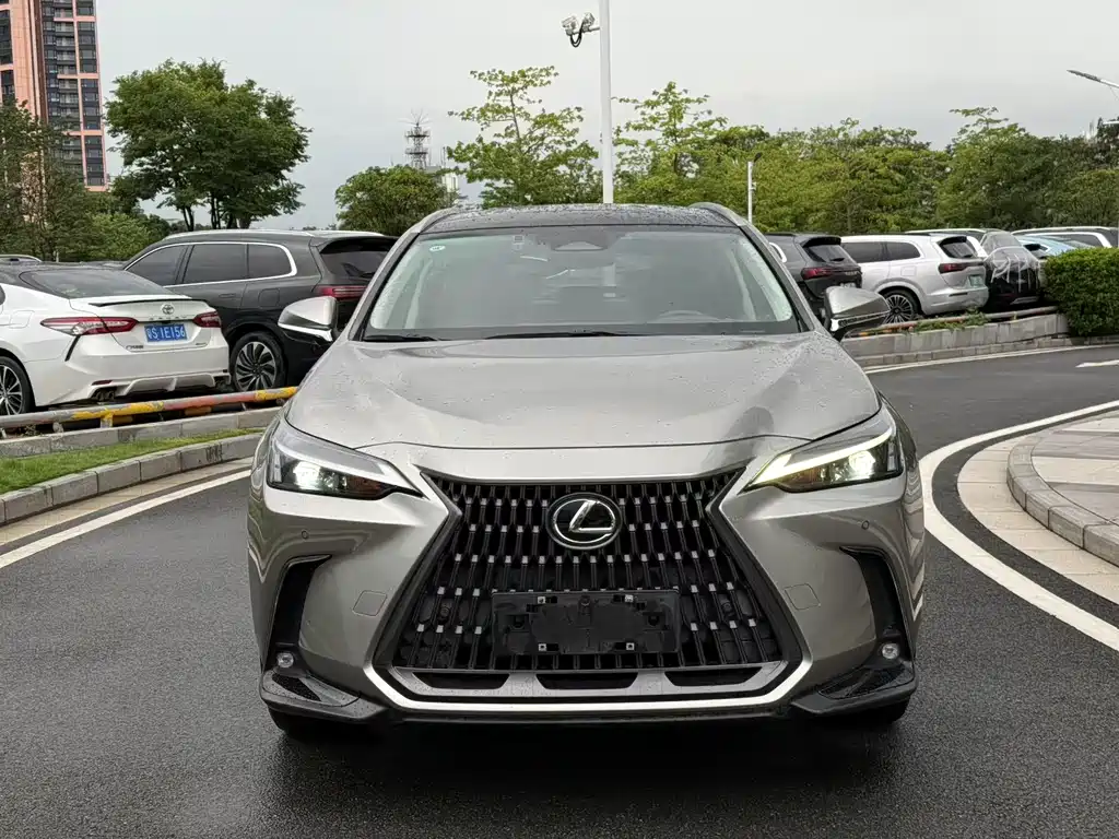 Lexus NX 2021