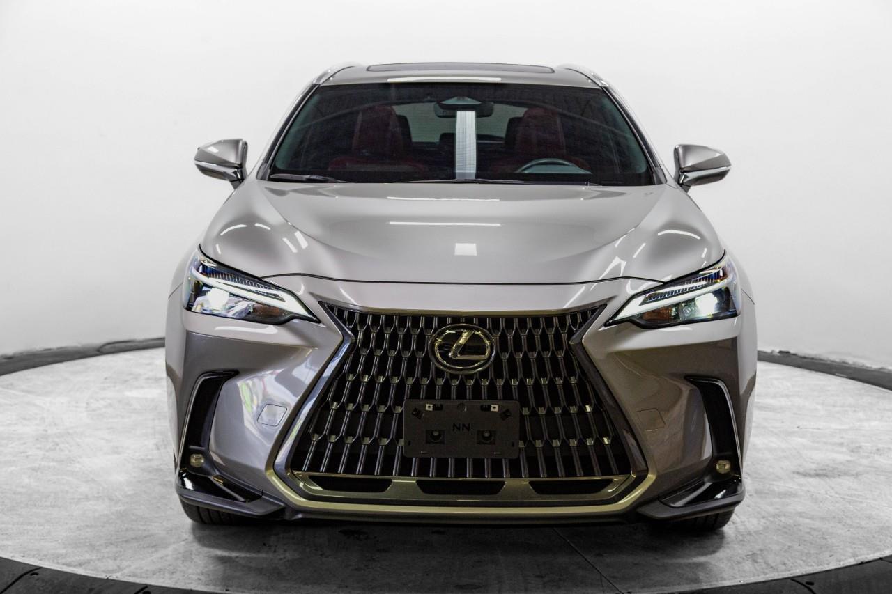 Lexus NX 350 2024