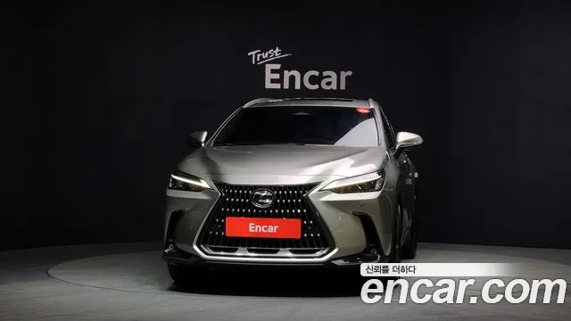 Lexus NX 2023