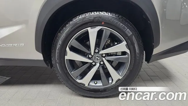 Lexus NX 2020
