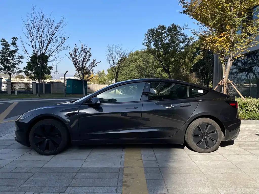 Tesla Model 3 2025