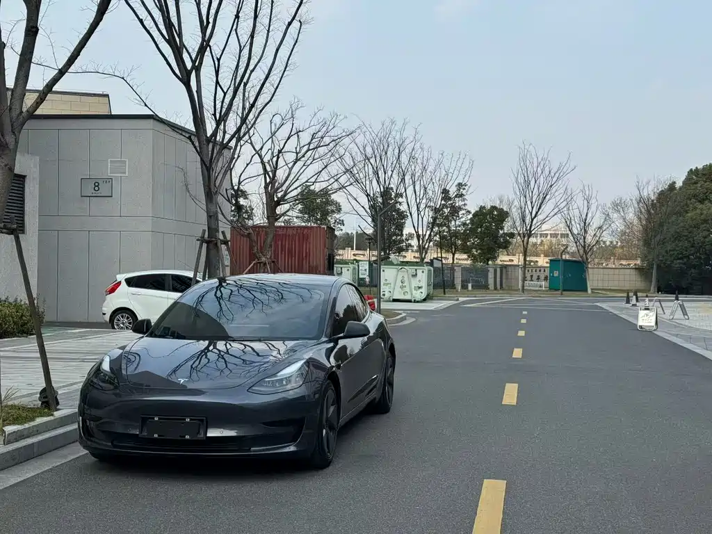 Tesla Model 3 2021