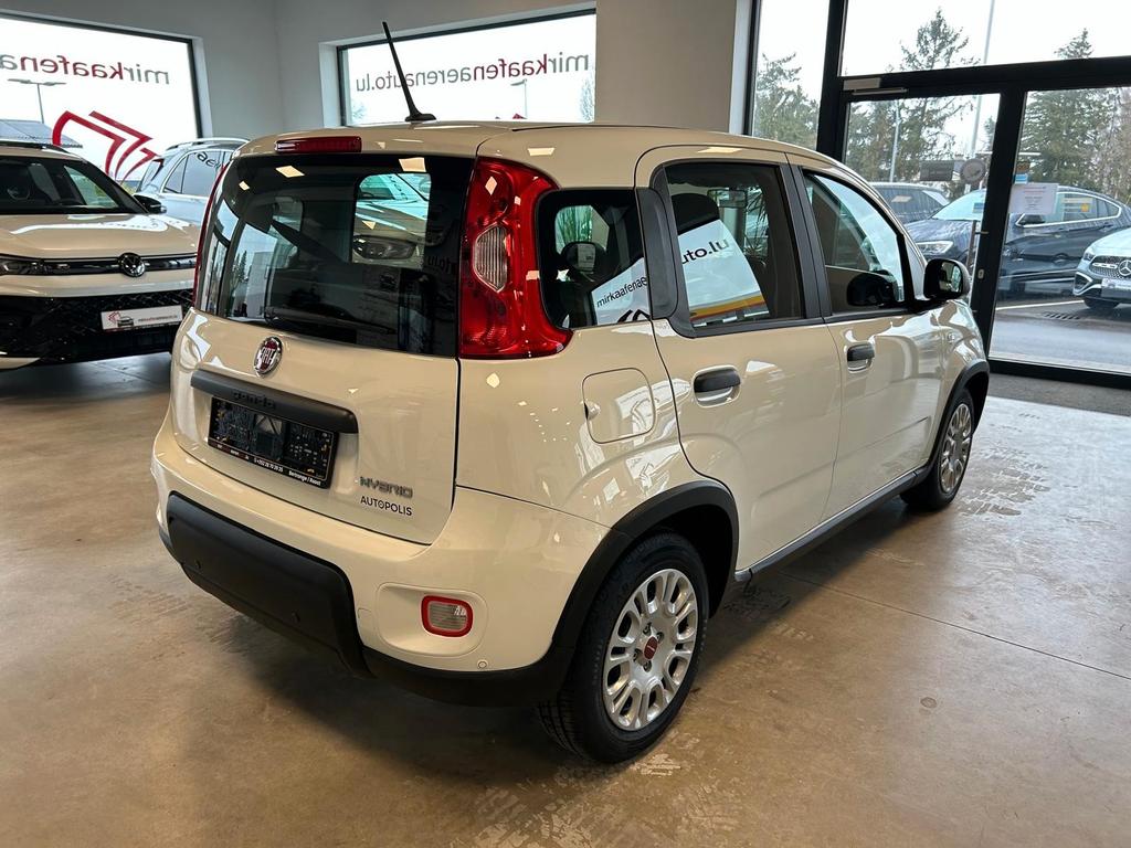 Fiat Panda 2023